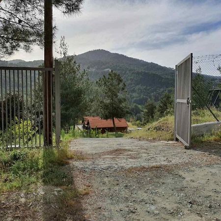 The Cosy Mountain Cabin With Stunning Views Near Troodos Kato Amiandos Buitenkant foto