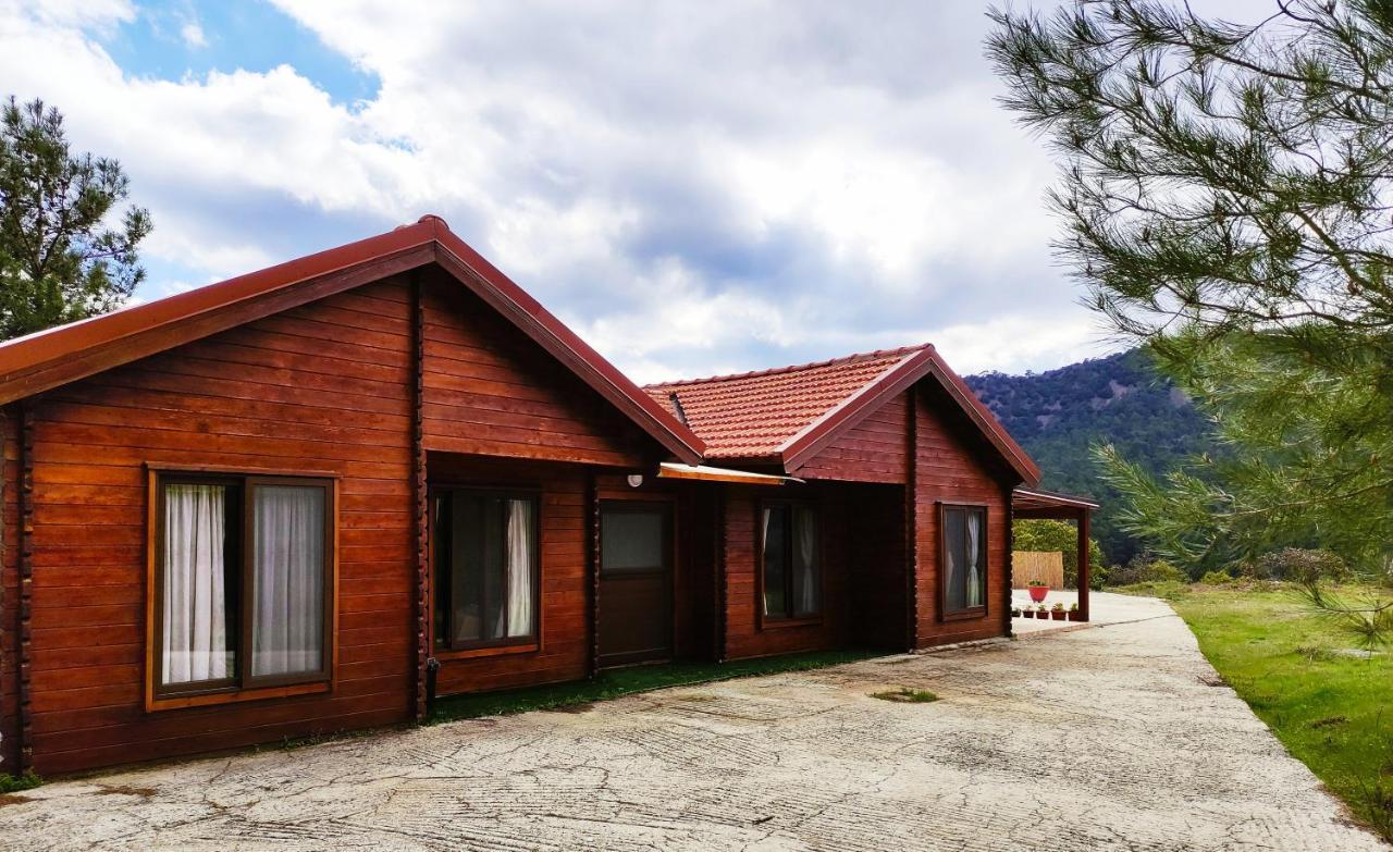 The Cosy Mountain Cabin With Stunning Views Near Troodos Kato Amiandos Buitenkant foto
